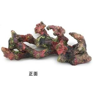 レッドシー 30cmキューブ水槽用 ライブロックレイアウト販売 アーチ