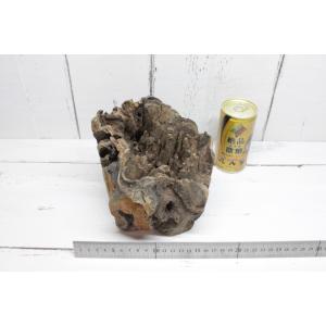 流木 スタンプウッドS ハーフウッド 1点物 SW0911-002 天然