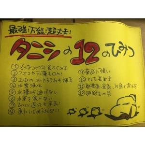タニシ 5匹セットの詳細画像3