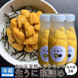 ウニ 生うに 気仙沼産 うに 瓶詰め 120g×3本セット