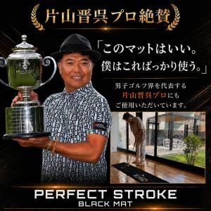 【9月中旬入荷】片山晋呉プロ絶賛! パーフェク...の詳細画像4