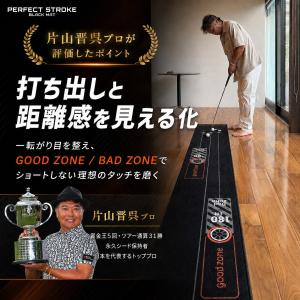 【9月中旬入荷】片山晋呉プロ絶賛! パーフェク...の詳細画像5