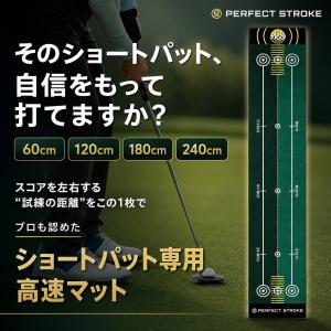 パーフェクトストローク公式 ショートパット専用...の詳細画像1