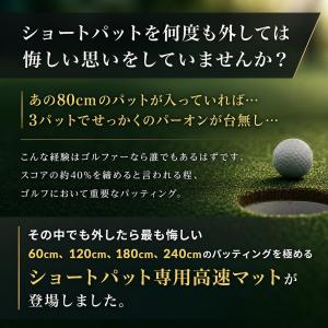 パーフェクトストローク公式 ショートパット専用...の詳細画像3