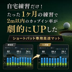 パーフェクトストローク公式 ショートパット専用...の詳細画像4