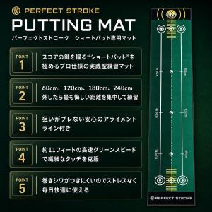 パーフェクトストローク公式 ショートパット専用...の詳細画像5