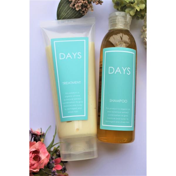 【送料無料】デイズシャンプー（220ｍｌ）トリートメント（200ｇ）お得セット