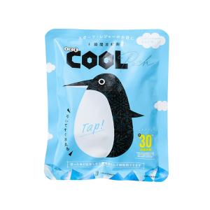 ライフオンプロダクツ Life on Products 瞬間冷却剤 ICE COOL PACK LCACL001　フィットハウス｜fithouse