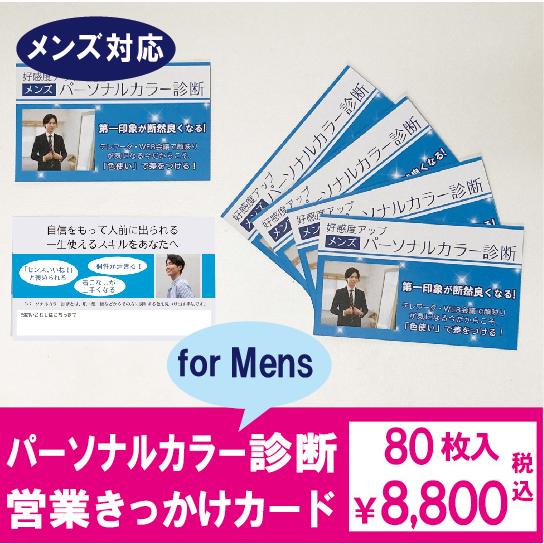 パーソナルカラー お渡しツール 名刺サイズ・メンズ営業きっかけカード【80枚入】｜カラー診断に興味あ...