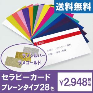 カラーセラピーミニボトルセット【14本×2セット入】 : フィティン