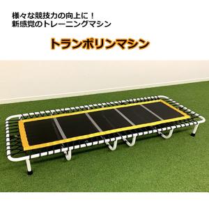 ViPR バイパー 8kg 代引き不可 返品・交換不可 トレーニング