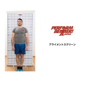 テラセンサ コアバランス 介護予防器具 代引不可 terrasensa