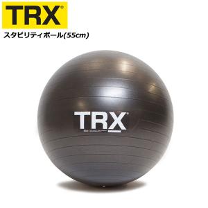 テクノジム アクティブシッティング バランスボールチェア 55cm