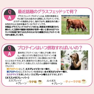 グラスフェッドプロテイン 4フレーバー 600...の詳細画像4
