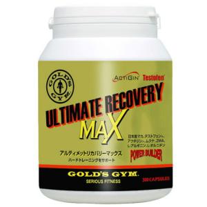 【POWERBUILDERシリーズ】 GOLD'SGYM(ゴ...
