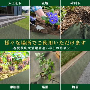 :FGG 防草シート 1m 100m 130g...の詳細画像4