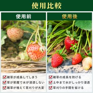 :FGG 防草シート 2m 30m 130g/...の詳細画像5