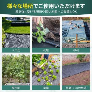 :FGG 防草シート ピン 固定ピン 固定杭 ...の詳細画像2