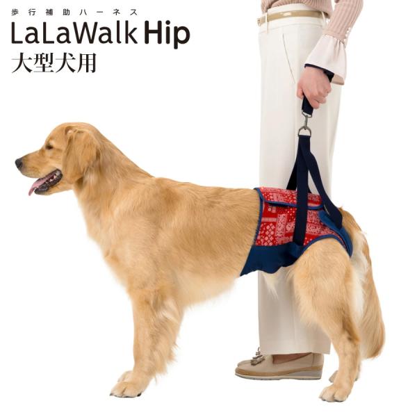 歩行補助ハーネス LaLaWalk Hip 大型犬用 ペイズリー 高齢犬 散歩 後ろ足 シニア犬 介...