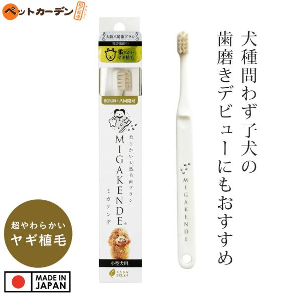 柔らかい天然毛歯ブラシ ミガケンデ 小型犬用 柔らかいヤギ植毛 超柔らか 1本 ペット 天然毛 やさ...