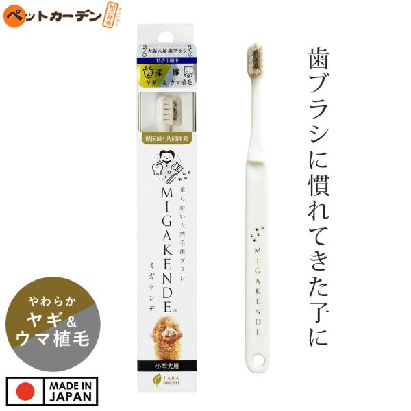 柔らかい天然毛歯ブラシ ミガケンデ 小型犬用 ヤギ＆ウマ植毛 柔らか＋磨き心地 1本 ペット 天然毛...