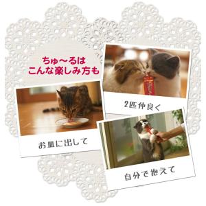 いなば チャオ ちゅ〜る とりささみ 海鮮ミッ...の詳細画像2