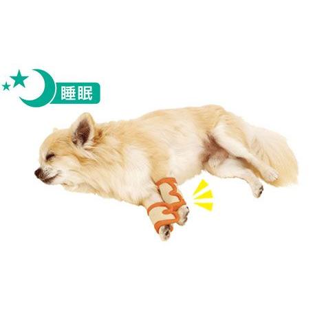 ペティオ zuttone 老犬介護用 床ずれ予防サポーター 小サイズ（全犬種用） 4個入り 犬用