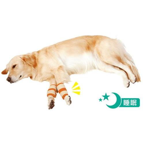 ペティオ zuttone 老犬介護用 床ずれ予防サポーター 大サイズ（全犬種用） 4個入り 犬用