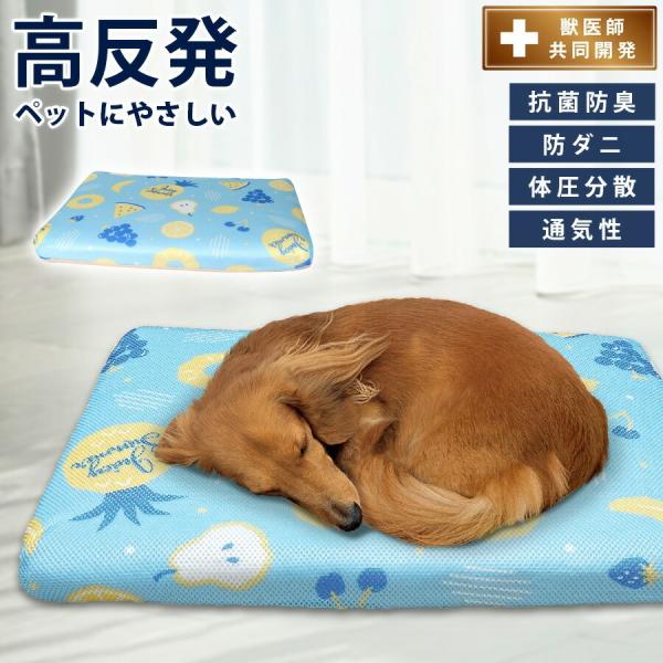ペットにやさしい高反発ベッド S フルーツソーダ 犬猫用 シニア 手洗い 抗菌 防臭 介護 高反発 ...