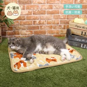 ドギーマン 抗菌 防臭ブランケット あにまるピースM クリーム 犬猫用 ペット 手洗いOK ミニ毛布 秋冬 いぬ 犬用 いぬ用 ねこ 猫用