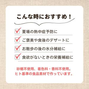 犬用 いなば アイスクリーム 今日はこだわりア...の詳細画像1