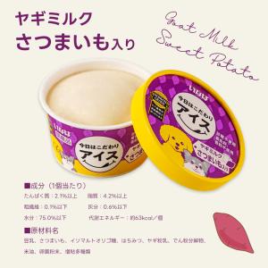 犬用 いなば アイスクリーム 今日はこだわりア...の詳細画像4