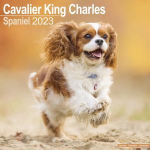 予約:10月上旬発送予定 海外輸入版 2023年 ドッグカレンダー キャバリアキングチャールズスパニエル 犬種別 壁掛け イギリス ワールドオブディスカバリー社｜five-1