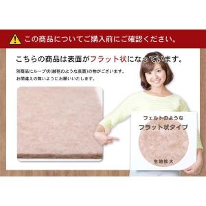サンプル請求 おくだけ吸着 バリアフリーマット...の詳細画像1