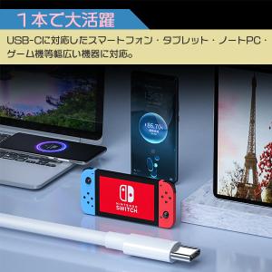 [1]Type-C to C ケーブル 1本 ...の詳細画像5
