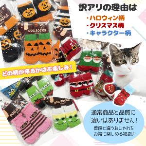 アウトレット 犬用 ソックス 8足福袋 ★選べ...の詳細画像1