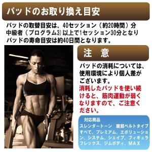 スレンダートーン エボリューション 交換用 替...の詳細画像1