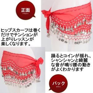 【レビューを書いてネコポス送料無料】ベリーダン...の詳細画像2