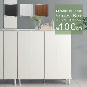 シューズボックス 完成品 下駄箱 ホワイト 白 靴箱 100幅 幅100 ロー