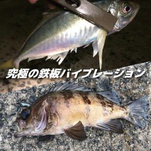 究極の鉄板!SALTINA REBELLION...の詳細画像3