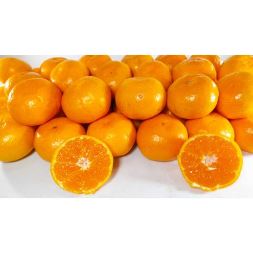 みかん　約6kg 【手選別まごころ選果】秀品　サイズ2Ｌ〜2S 熊本県産　80サイズ