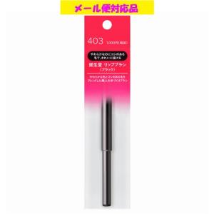 SHISEIDO（資生堂） シセイドウ リップブラシ（レッド）N 407(1本) 紅