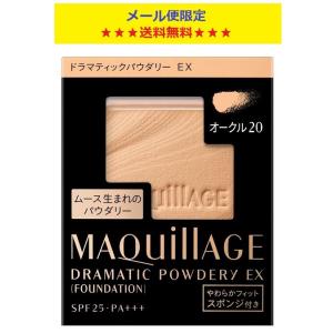 SHISEIDO（資生堂） アウスレーゼ ブリランチンN ポマード 80g : フジ