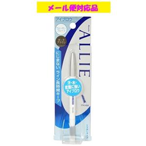 SHISEIDO（資生堂） ピエヌ デュアルブロークリエーター パウダー