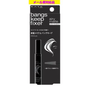 SHISEIDO（資生堂） アウスレーゼ ブリランチンN ポマード 80g : フジ