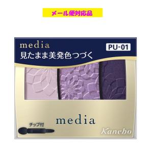 Kao（花王） 「花王ソフィーナ」 オーブ ブラシひと塗りシャドウN 16