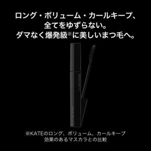 カネボウ ケイト ラッシュバースト BK-1 ...の詳細画像3