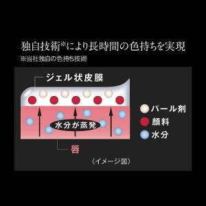 カネボウ ケイト リップモンスター 05 ダー...の詳細画像4