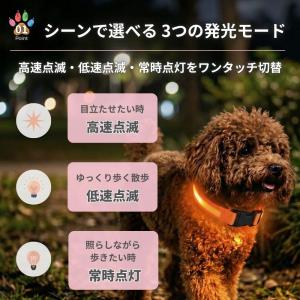 光る首輪 犬 首輪 光る おしゃれ 犬用 犬首...の詳細画像2