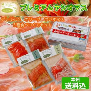 プレミアムヤシオマスの商品一覧 通販 Yahoo ショッピング